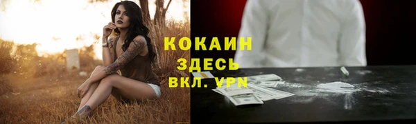 spice Белокуриха