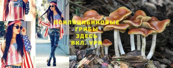 амф Беломорск